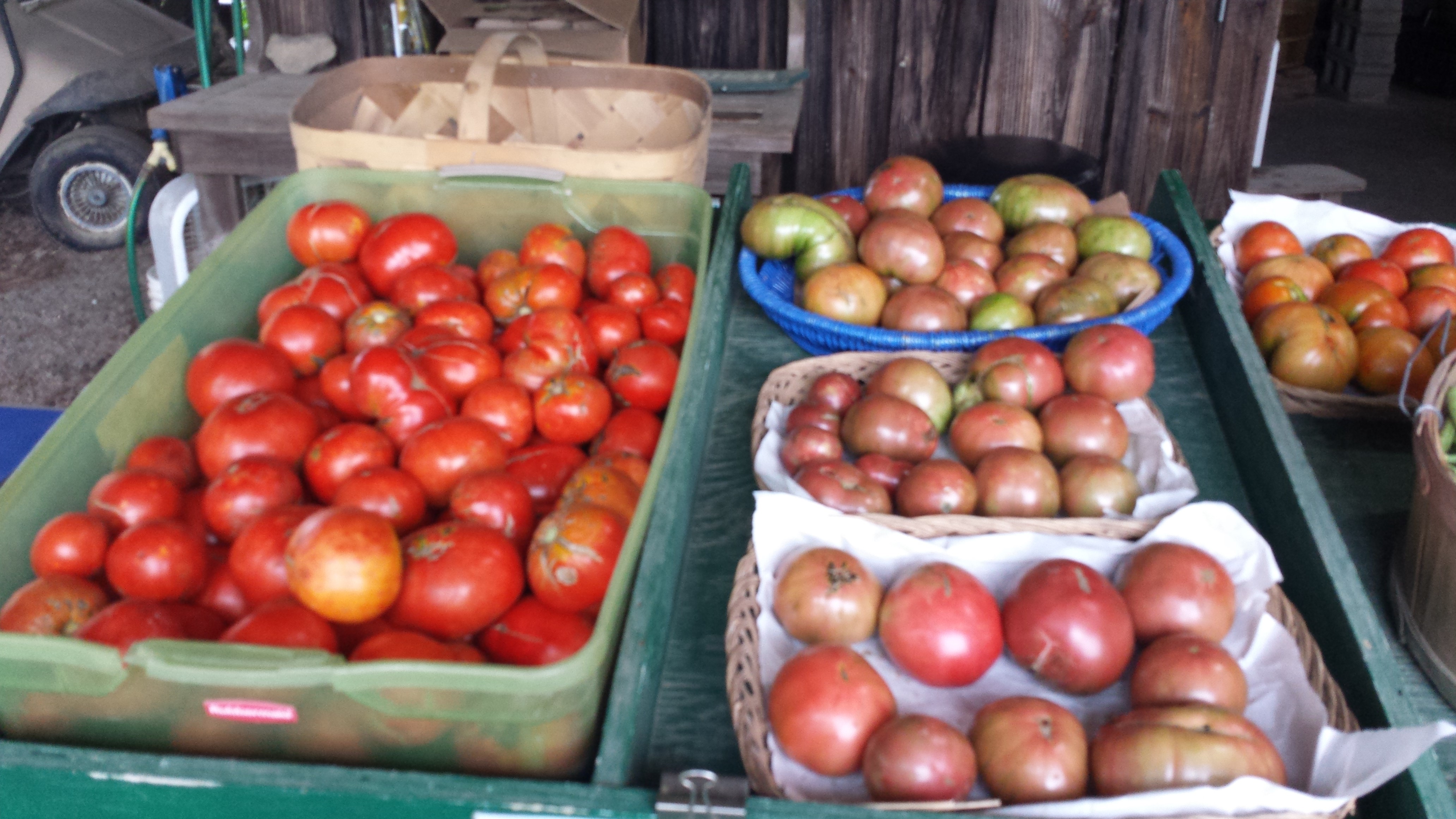 Heirloom Tomatoes